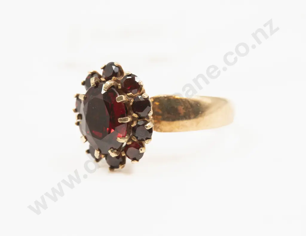 9ct Eleven Stone Garnet Cluster Ring Image 1++