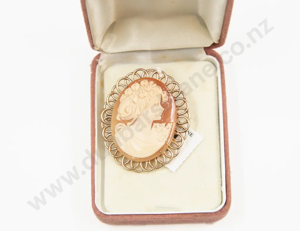 9ct Framed Classical Portrait Cameo Brooch Image 1++