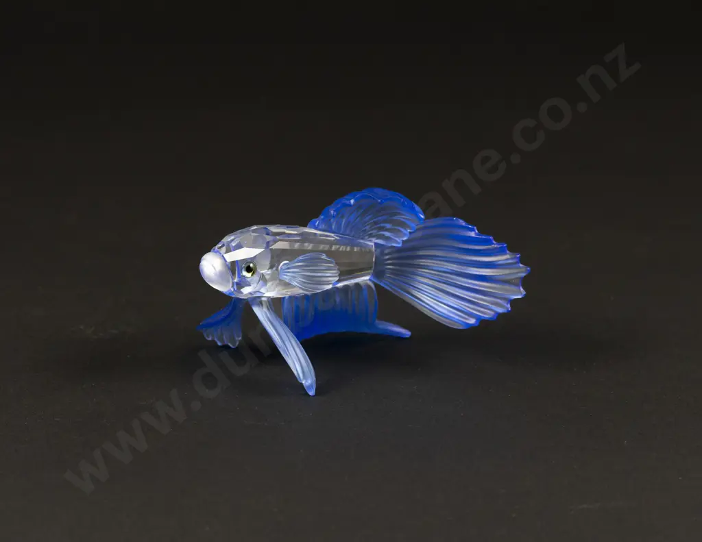 C1999 Boxed Swarovski Crystal 'South Sea' Siamese Fighting Fish Image 1++