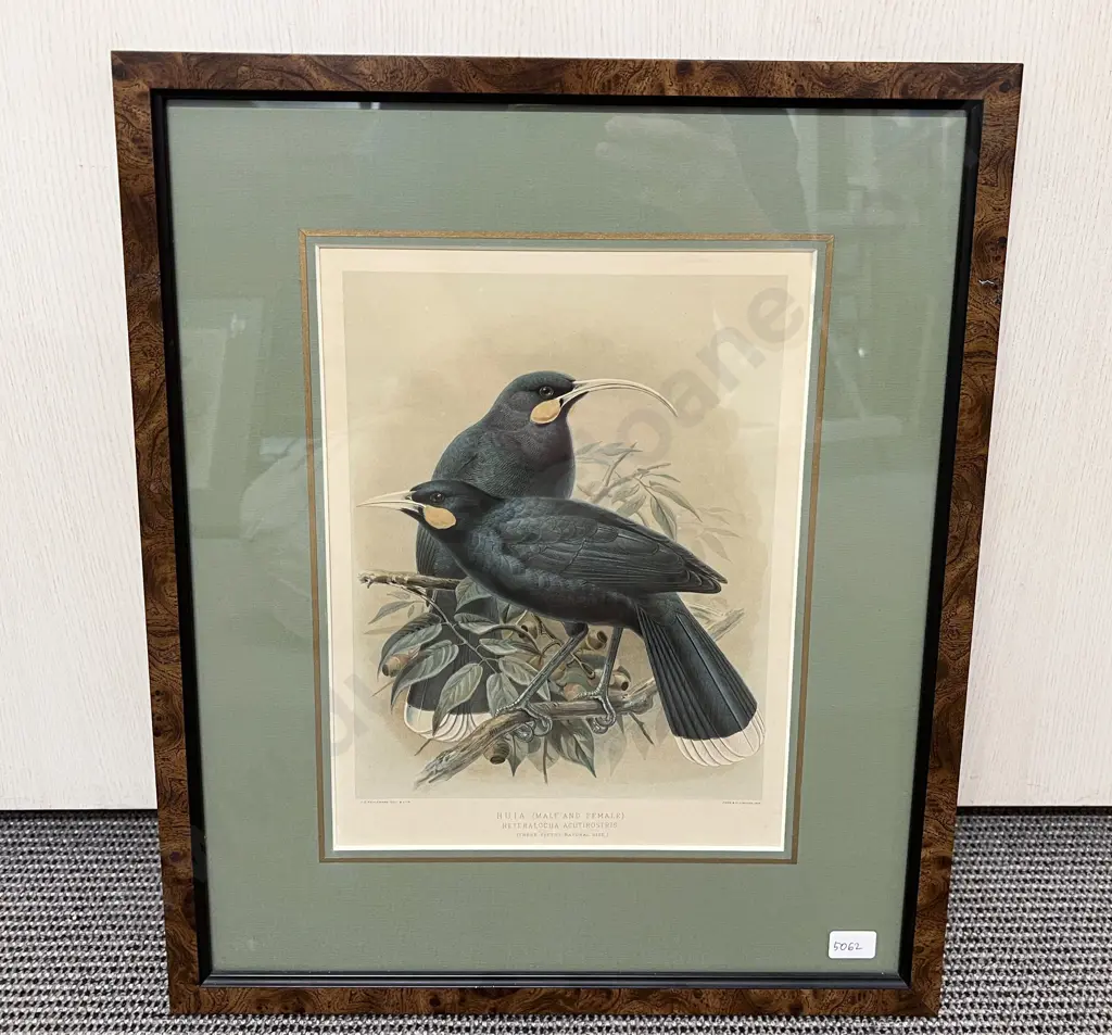 Set of Three Framed Bird Prints Image 1++