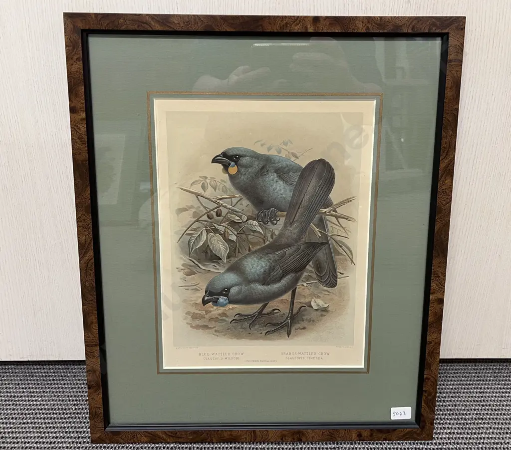 Set of Three Framed Bird Prints Image 1++