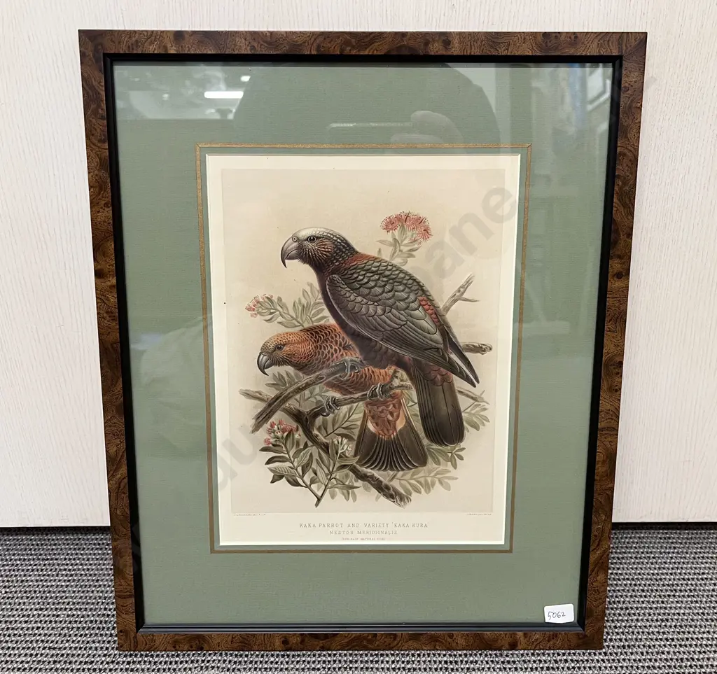 Set of Three Framed Bird Prints Image 1++