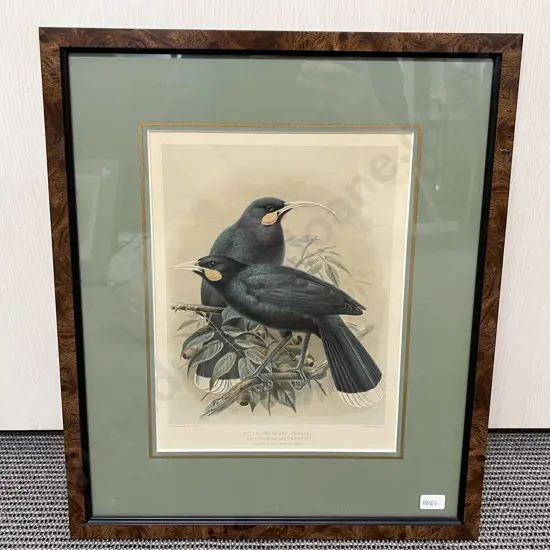 Set of Three Framed Bird Prints