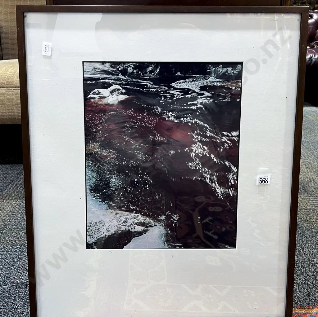 Unknown Artist - "Stream Movement Karamea" Ltd Edition Photographic Print Image 1++