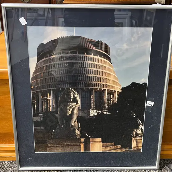 Ronald D. Woolf - Wellington Beehive - Photograph