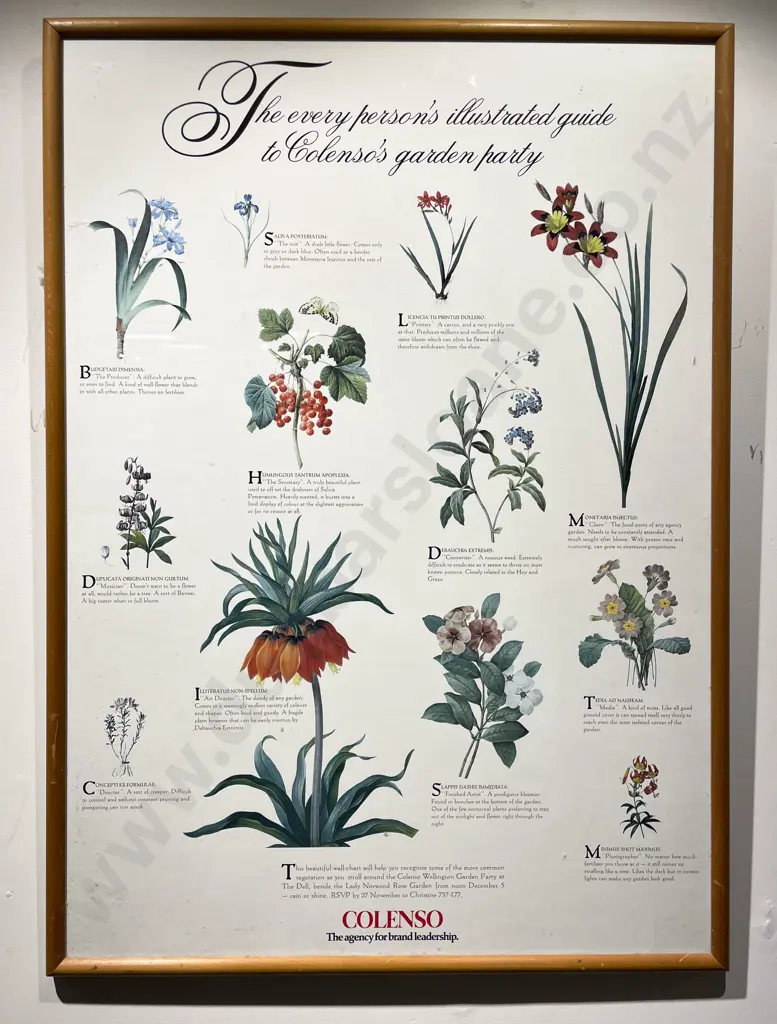 Colenso Framed Advertising Poster Image 1++