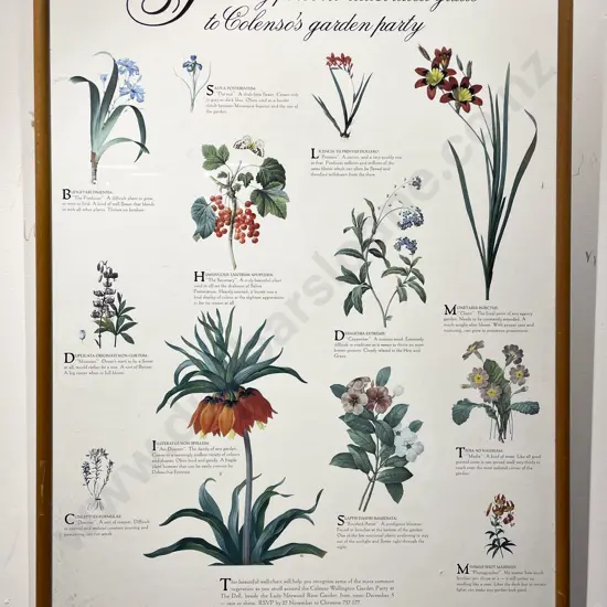 Colenso Framed Advertising Poster