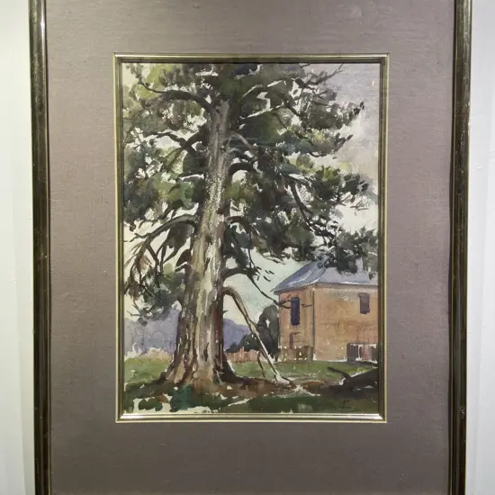 Unknown Artist - Tree Study - Watercolour