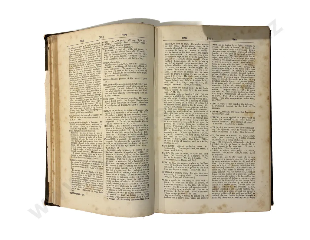 The Maori Comparative Dictionary Image 1++