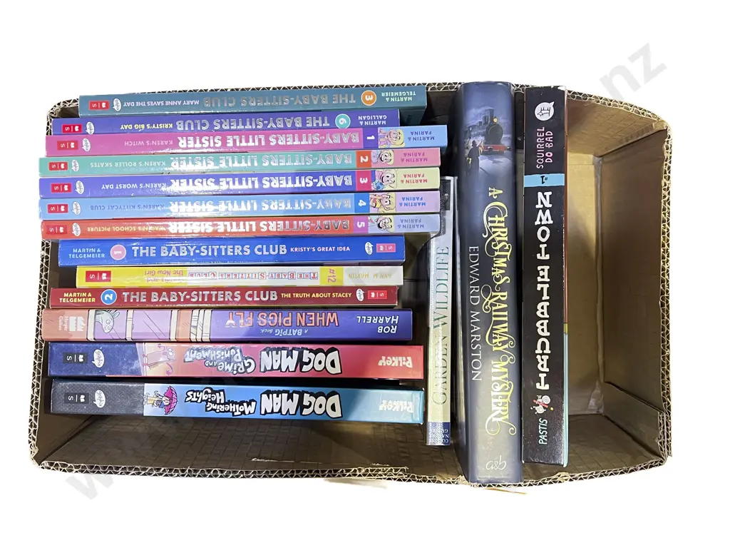 Two Boxes of Assorted Young Adult Books Image 1++