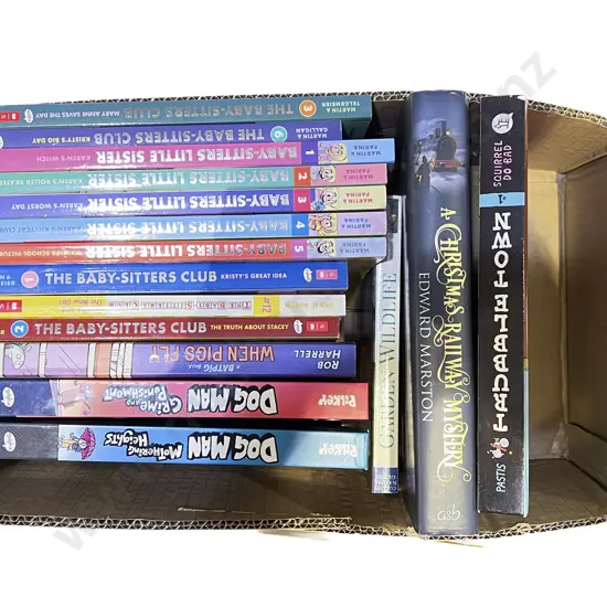 Two Boxes of Assorted Young Adult Books