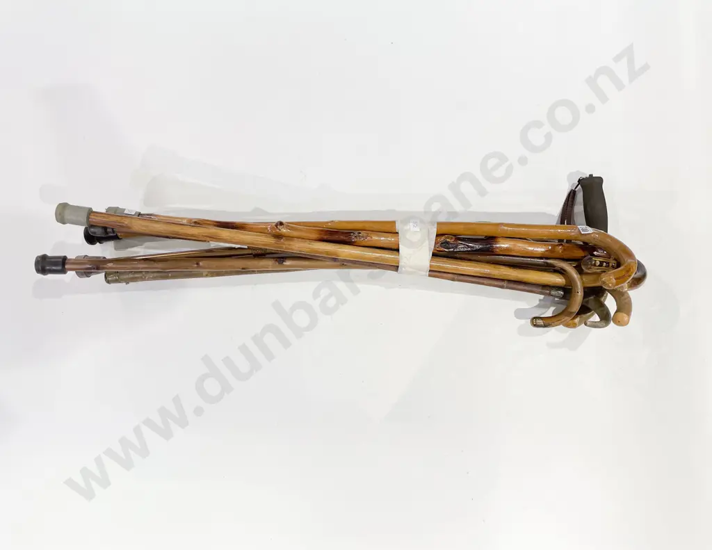 Qty of Assorted Walking Sticks Image 1++