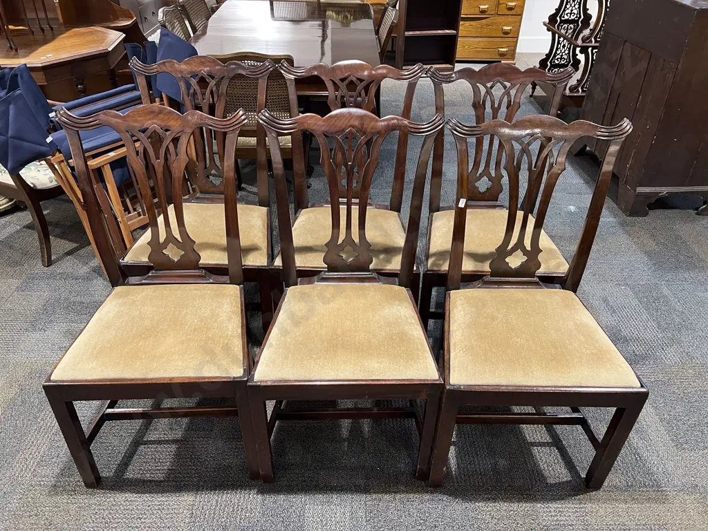 Six Chippendale Style Chairs Image 1++