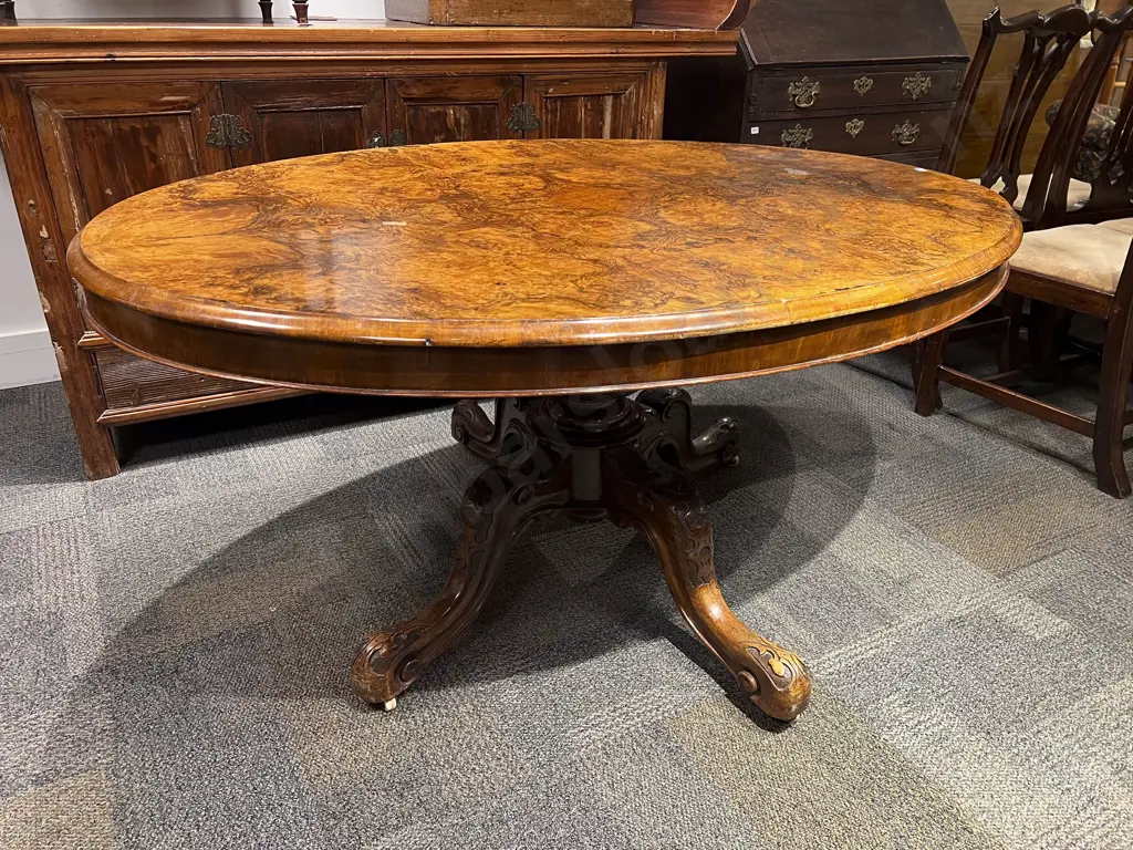 Vict Burr Walnut Loo Table Image 1++