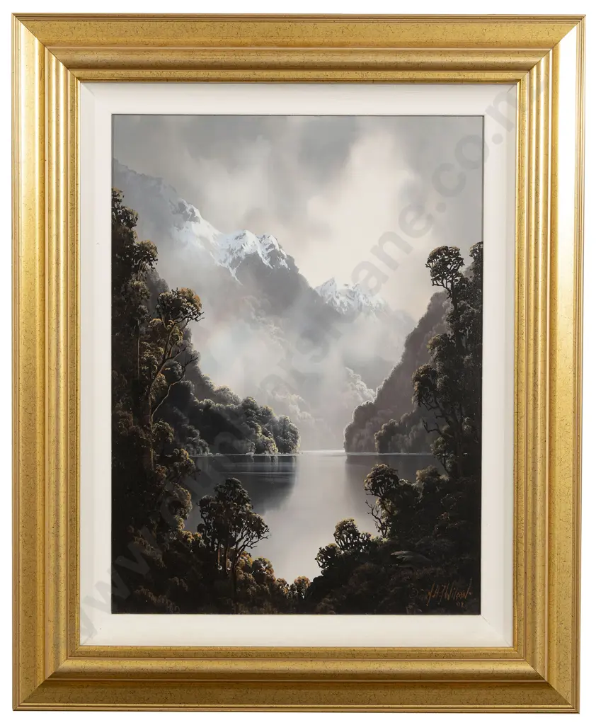 Tim Wilson - Across George Sound Image 1++