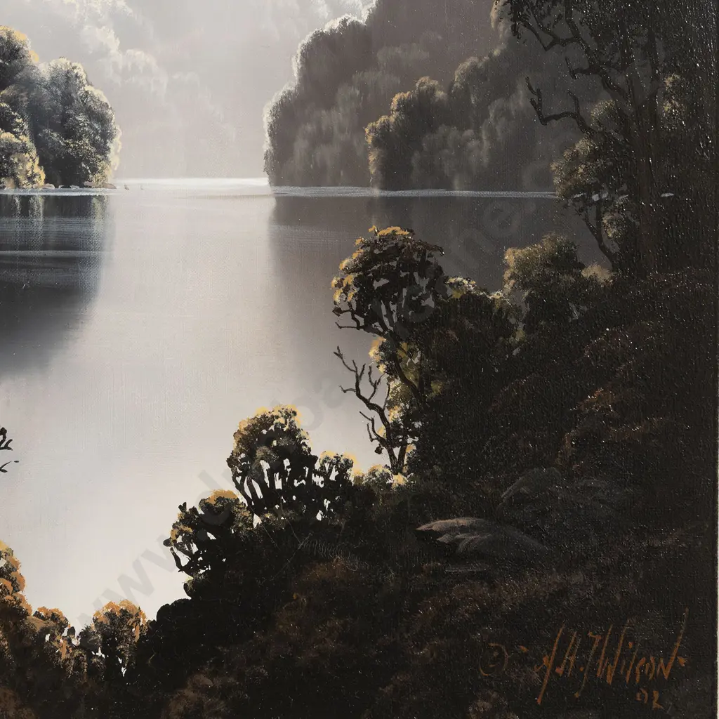 Tim Wilson - Across George Sound Image 1++