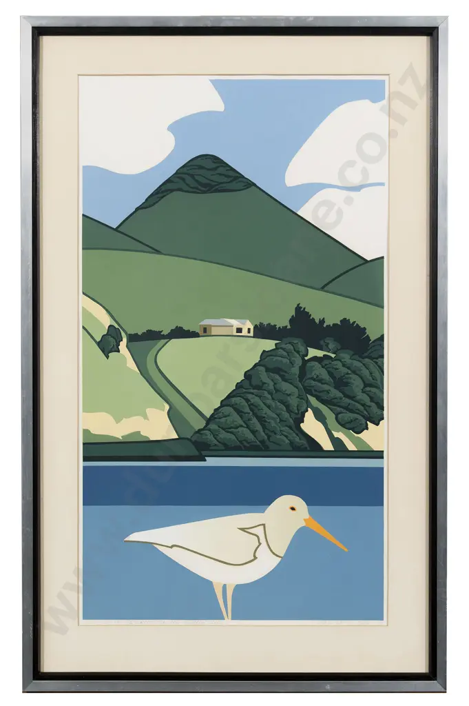 Robin White - White Oystercatcher and Harbour Cone Image 1++