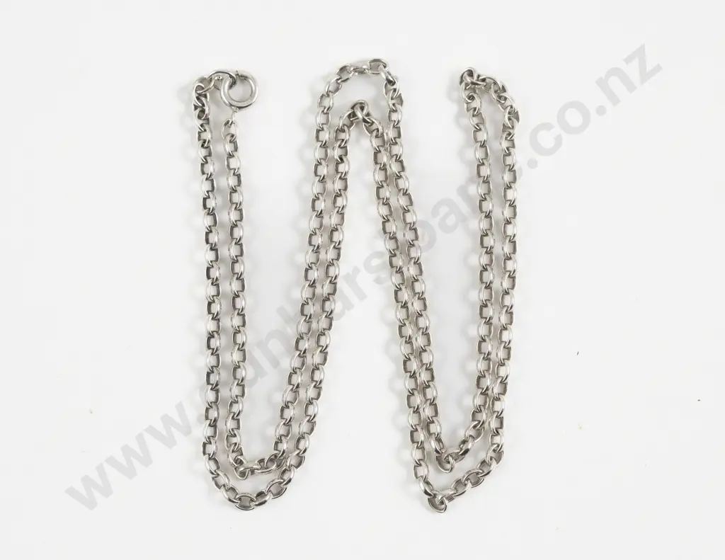 S/S Trace Link Neck Chain Image 1++