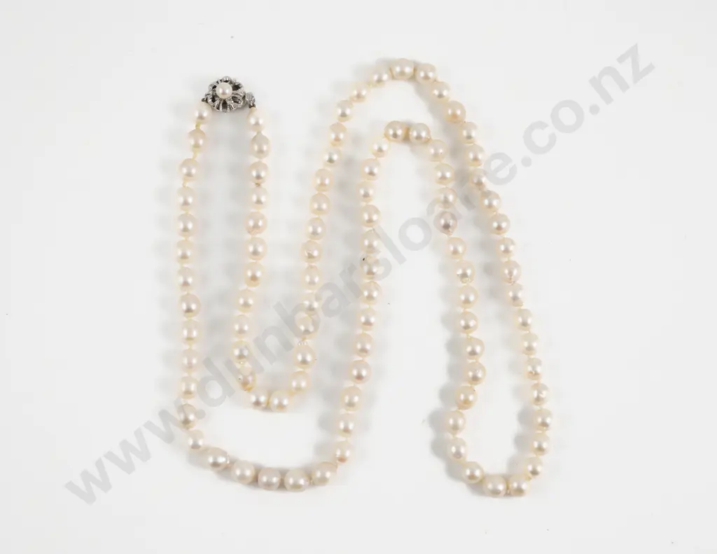 Single Strand Uniform Fresh Water Pearl Opera Length Necklace Image 1++