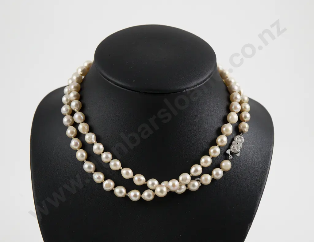 Single Strand Fresh Water Pearl Necklace Image 1++