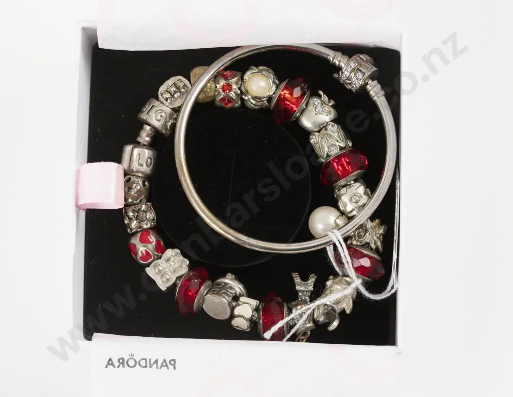 Two Pandora Style Charm Bracelets Image 1++