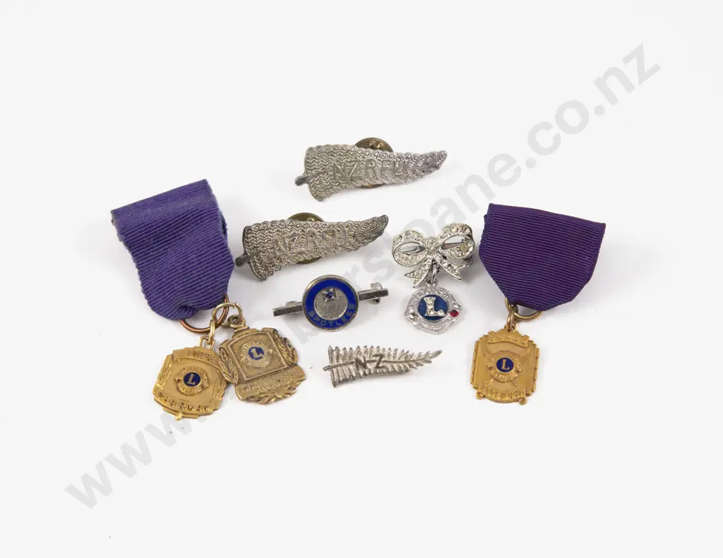 Three Gold Plated Lions Medallions with Three Silver NZ Fern Brooches and Two Others Image 1++
