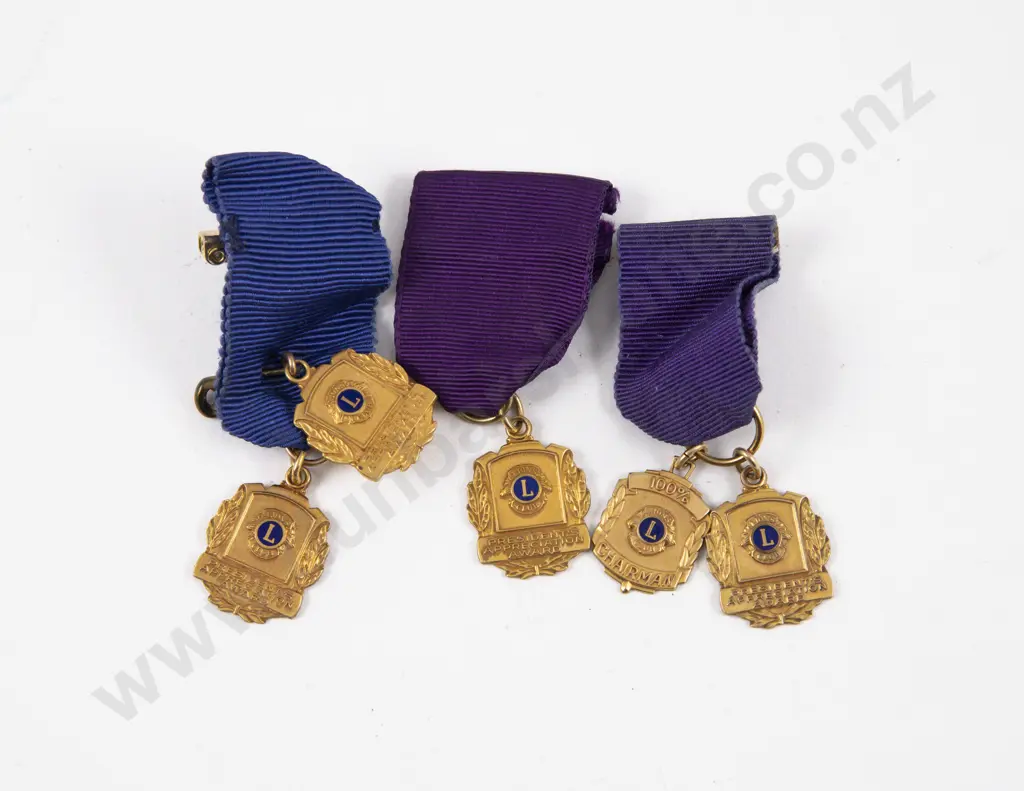 Five 10ct Gold Plated Lions Medallions Image 1++