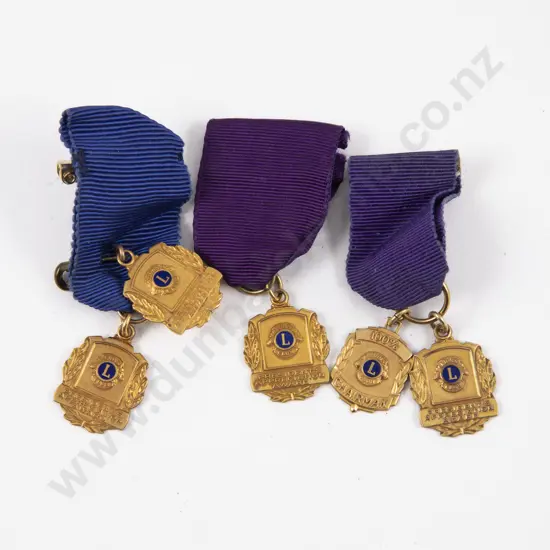 Five 10ct Gold Plated Lions Medallions