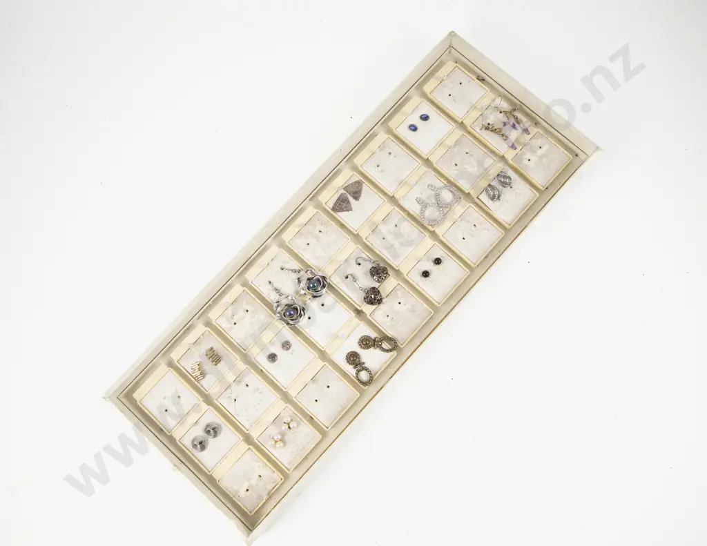 Collection of Assorted Earrings in Earring Tray Image 1++