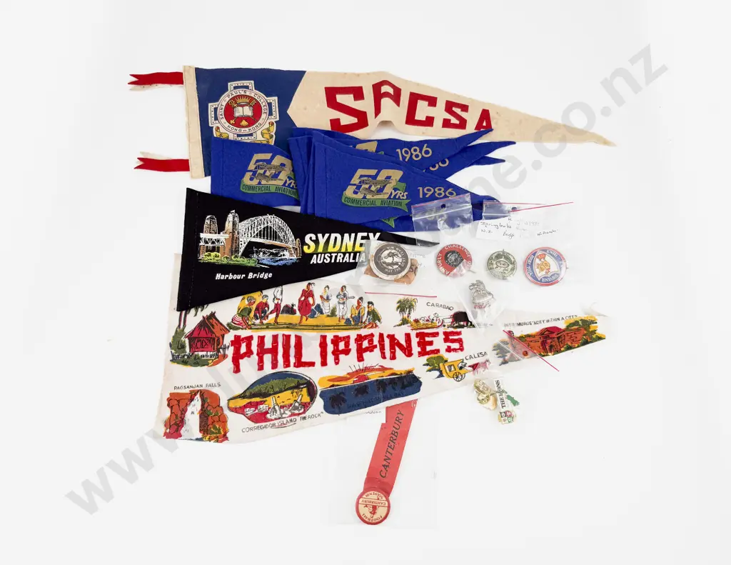 Collection of Ranfurly NZ Rugby and Other Buttons and Badges with Souvenir Punnets Image 1++