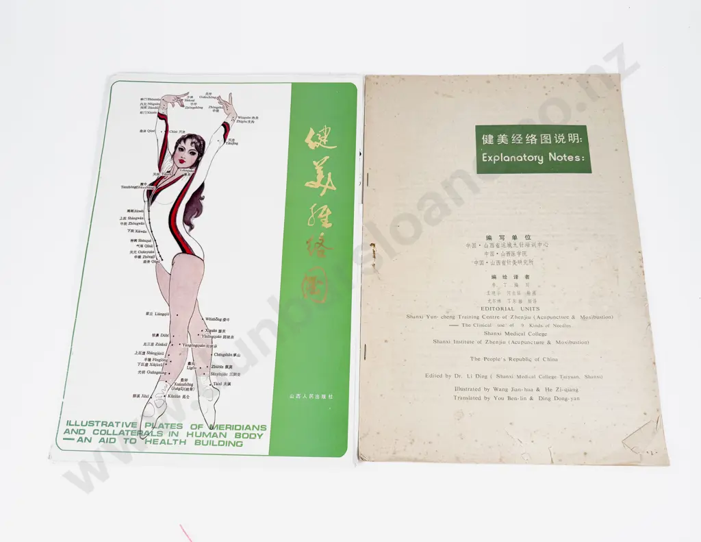 C1984 Two Large Chinese Acupuncture Anatomical Charts and 20 diagrams Image 1++