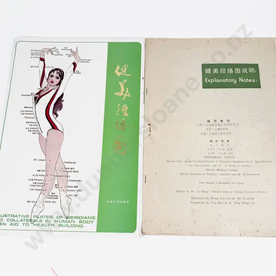 C1984 Two Large Chinese Acupuncture Anatomical Charts and 20 diagrams