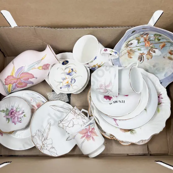 Collection of Various Orchid Pattern China