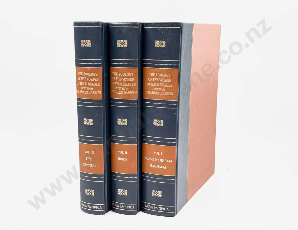 The Zoology of the Voyage of H.M.S. Beagle Edited by Charles Darwin - Volume 1 Image 1++