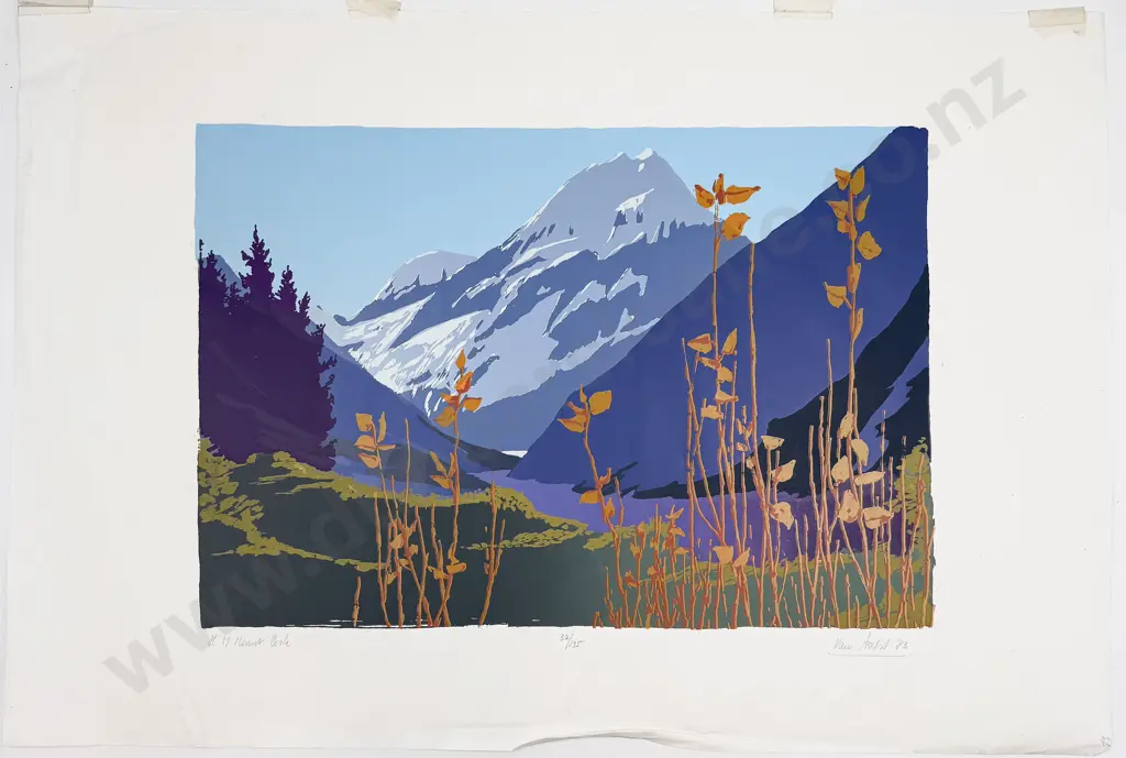 Van Aalst - "H.M. Mt Cook" - Ltd Ed Print Image 1++