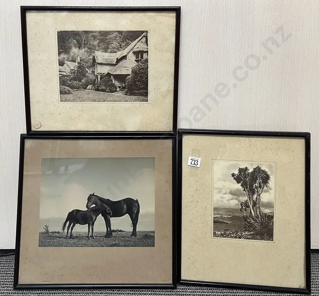 Three Assorted Photographic Studies Image 1++