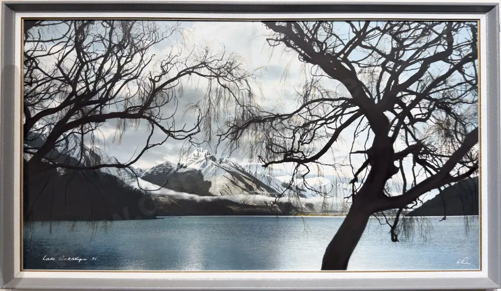 Whites Aviation - Lake Wakatipu Image 1++
