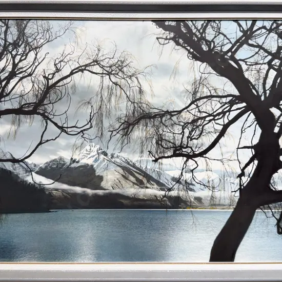 Whites Aviation - Lake Wakatipu