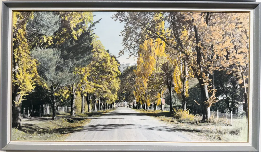 Whites Aviation - Arrowtown Road Image 1++