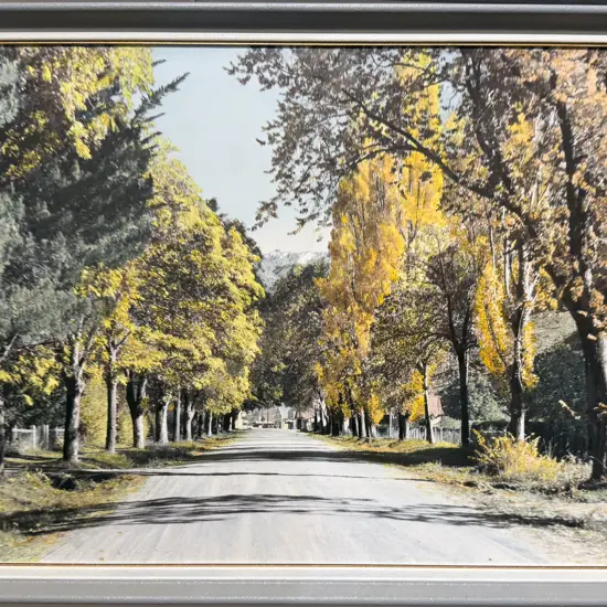 Whites Aviation - Arrowtown Road