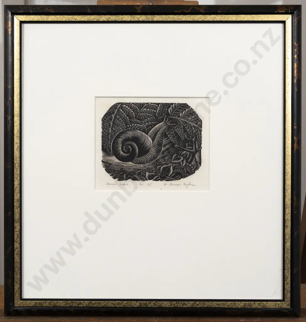 E Mervyn Taylor - Kauri Snail Image 1++