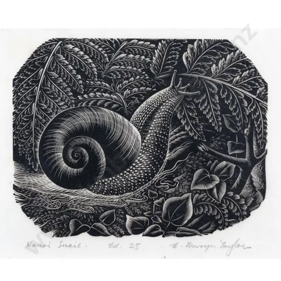 E Mervyn Taylor - Kauri Snail