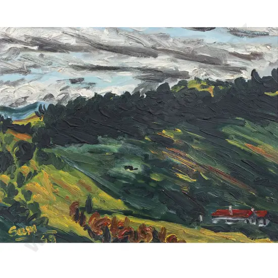 Sam Cairncross - View from Kotinga St - Kilbirnie