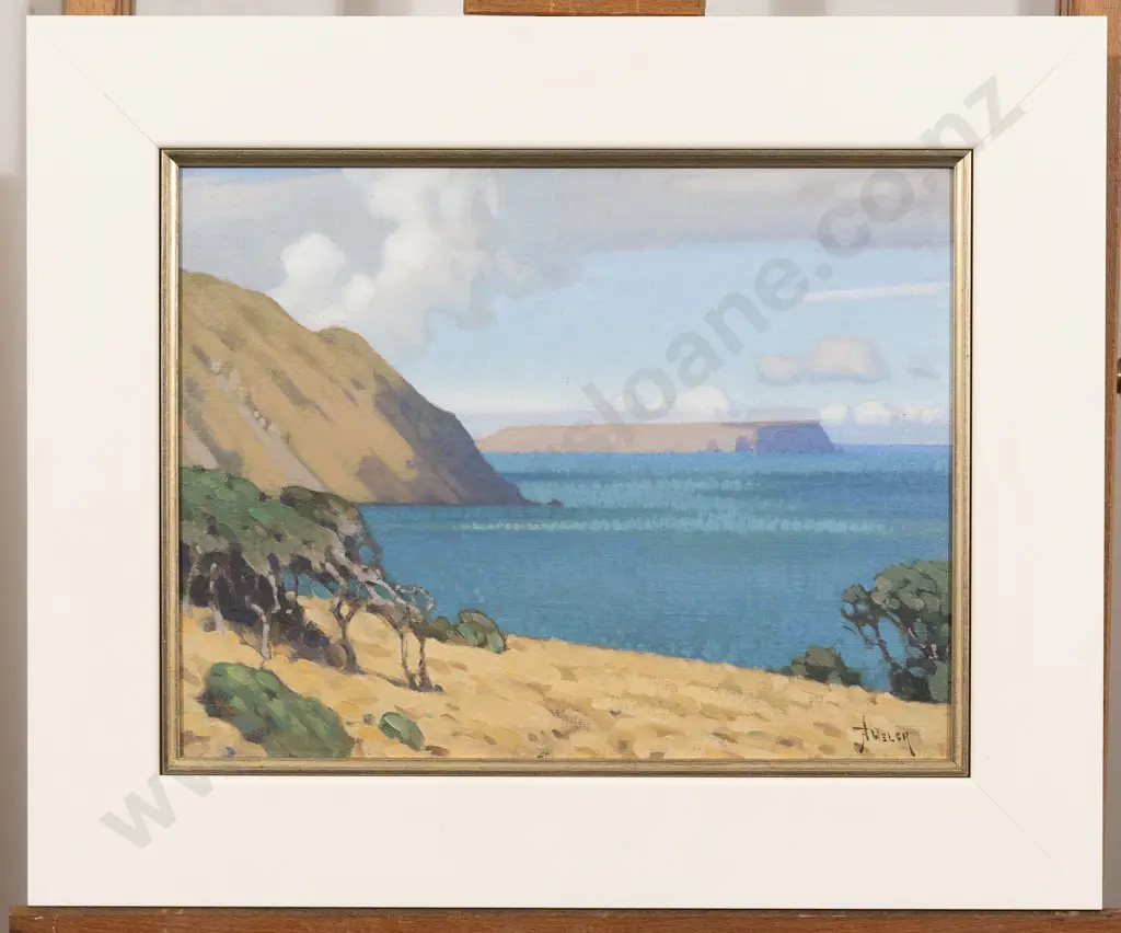 Nugent Welch - Wellington Coastal Landscape Image 1++