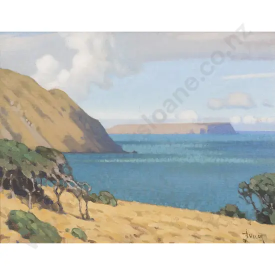Nugent Welch - Wellington Coastal Landscape