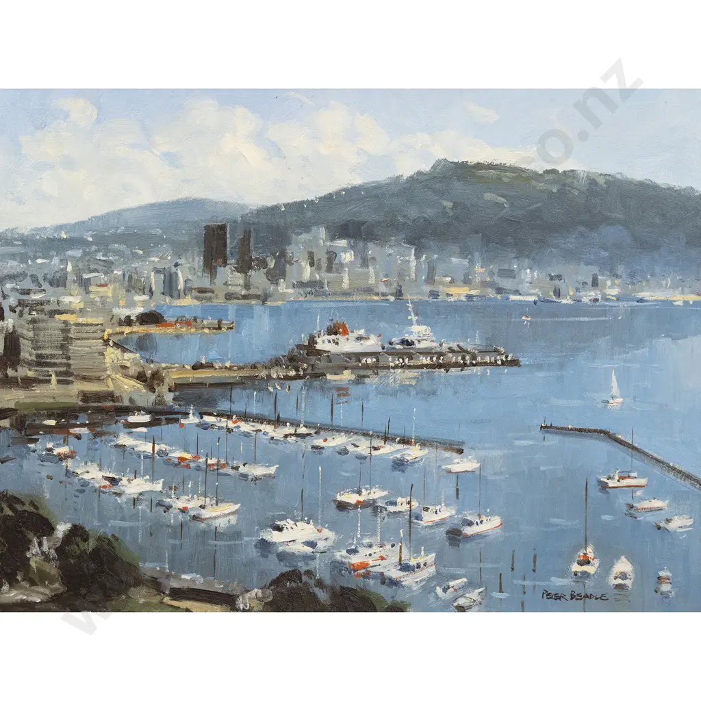 Peter Beadle - Wellington Harbour from Mt Victoria Image 1++
