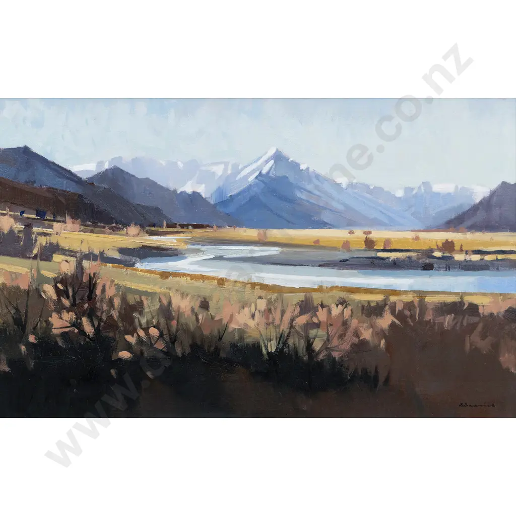 Brian Badcock - Towards Mt Cook from Glentanner Image 1++