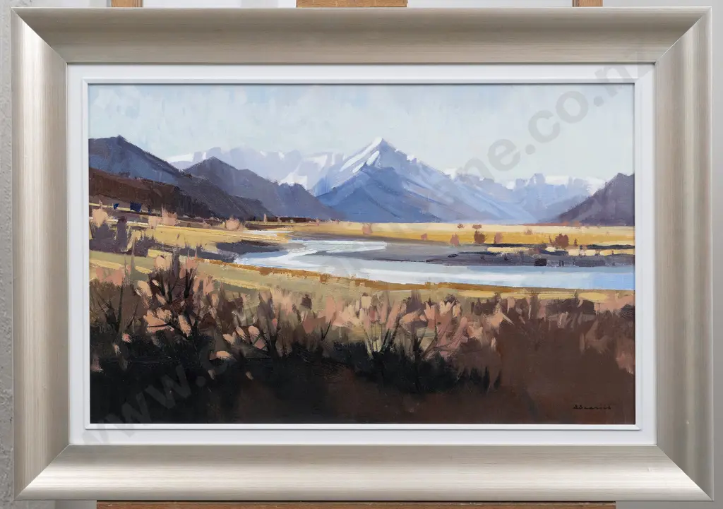 Brian Badcock - Towards Mt Cook from Glentanner Image 1++