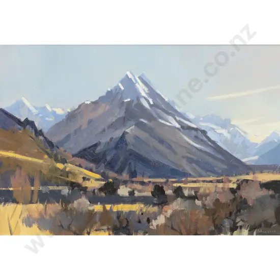 Brian Badcock - Mt Cook