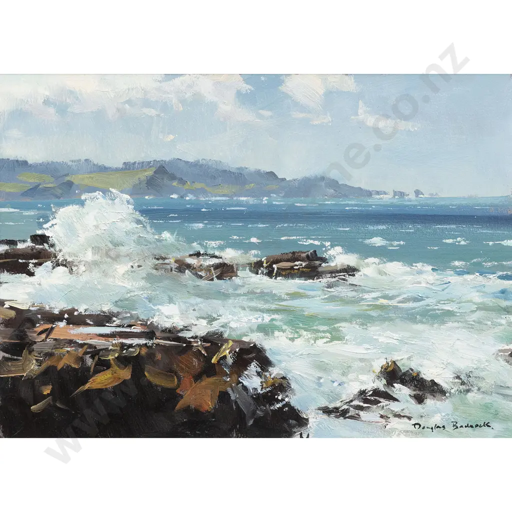 Douglas Badcock - Curio Bay - Southland Image 1++